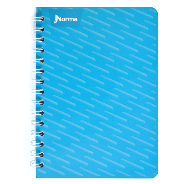 CUADERNO FRANCES DOBLE ARGOLLA 100 HJ RAYA NORMA MNK