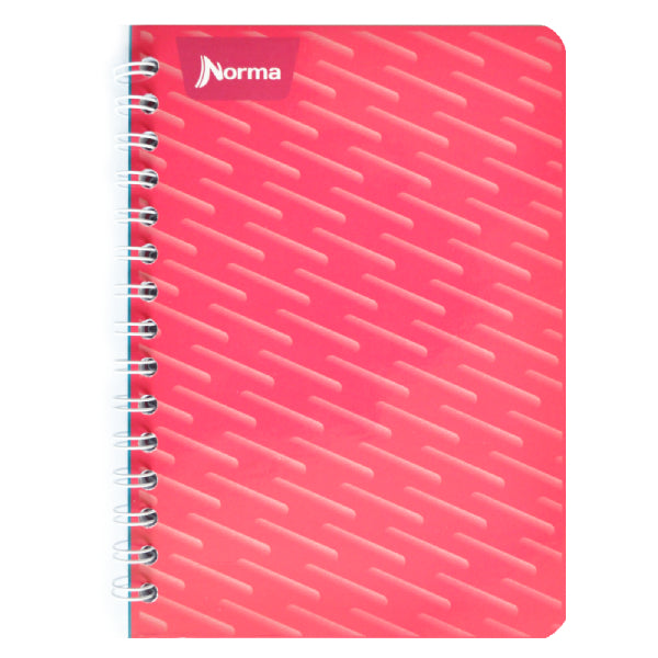 CUADERNO FRANCES DOBLE ARGOLLA 100 HJ RAYA NORMA MNK