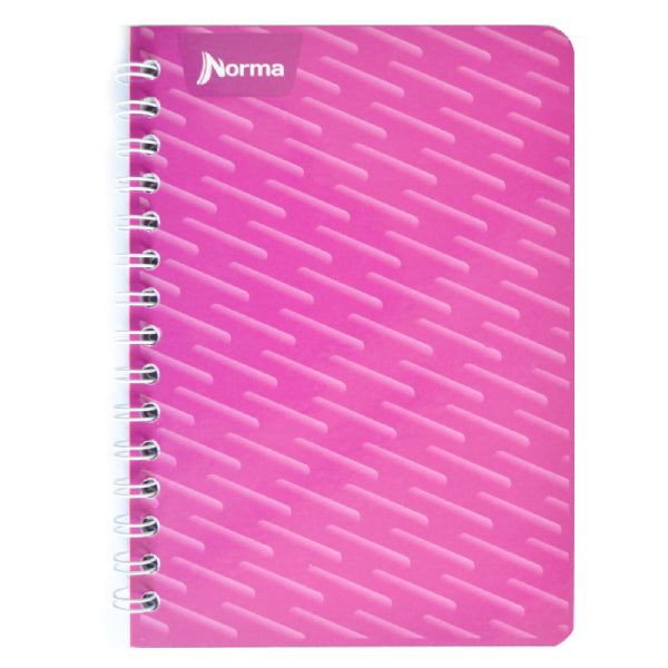 CUADERNO FRANCES DOBLE ARGOLLA 100 HJ RAYA NORMA MNK