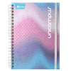 CUADERNO PROFESIONAL DOBLE ARGOLLA UNICAMPUS METALICO 160 HJ RAYA NORMA MNK