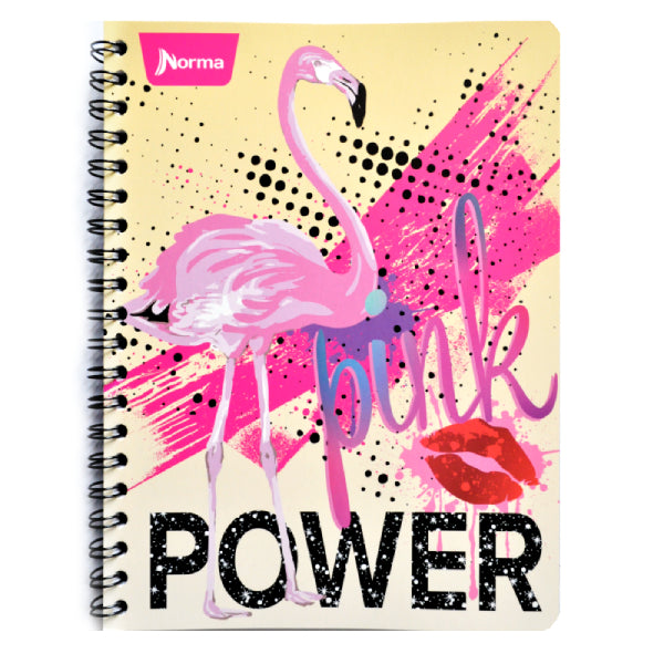 CUADERNO PROFESIONAL DOBLE ARGOLLA BASIC 100 HJ C7 NORMA MNK