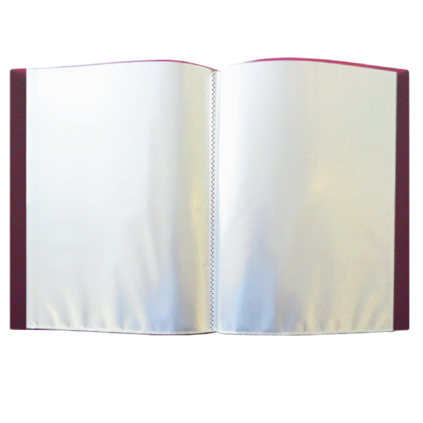 FOLDER CARTA MICAS 20 PZ FX20 GOBA BARRILITO