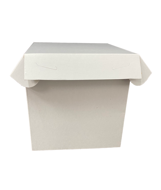 CAJA CUBO 15X15 CM CAJAS