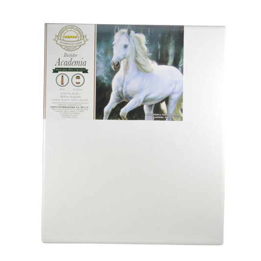 BASTIDOR LONETA FREDRIX 25X30 CM PINTO DISTRIBUIDORA