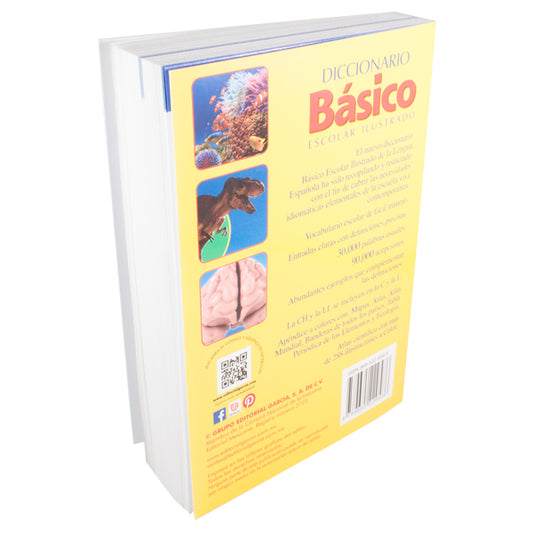 DICCIONARIO BASICO ESCOLAR 1371 EDITORIAL GARCIA MNK