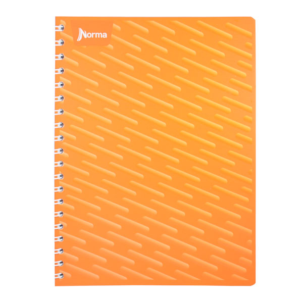 CUADERNO PROFESIONAL UNICOLOR 100 HJ RAYA NORMA