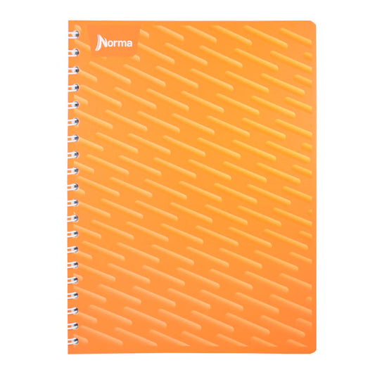 CUADERNO PROFESIONAL UNICOLOR 100 HJ RAYA NORMA
