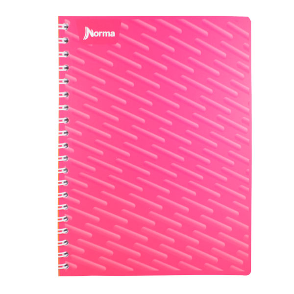 CUADERNO PROFESIONAL UNICOLOR 100 HJ RAYA NORMA