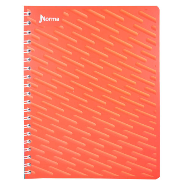 CUADERNO PROFESIONAL UNICOLOR 100 HJ RAYA NORMA