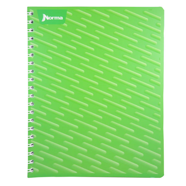 CUADERNO PROFESIONAL UNICOLOR 100 HJ RAYA NORMA