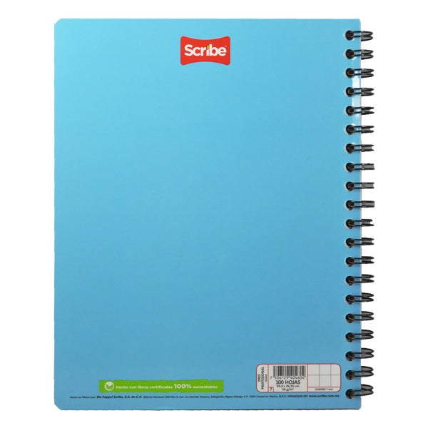 CUADERNO PROFESIONAL DOBLE ARGOLLA CLASICO 100 HJ C7 SCRIBE MNK