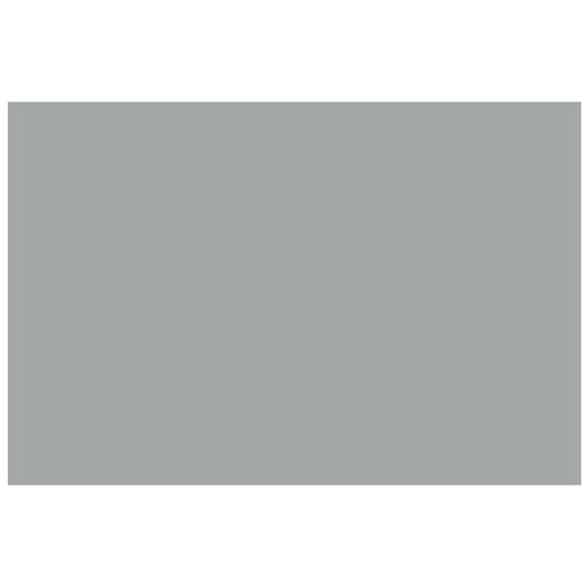 CARTULINA BRISTOL IRIS 50X65 GRIS IMPERIAL MNK