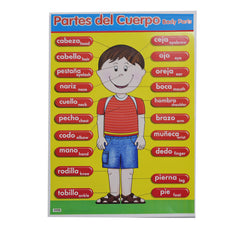 POSTER DIDACTICO CUERPO 1313-1 GRANMARK