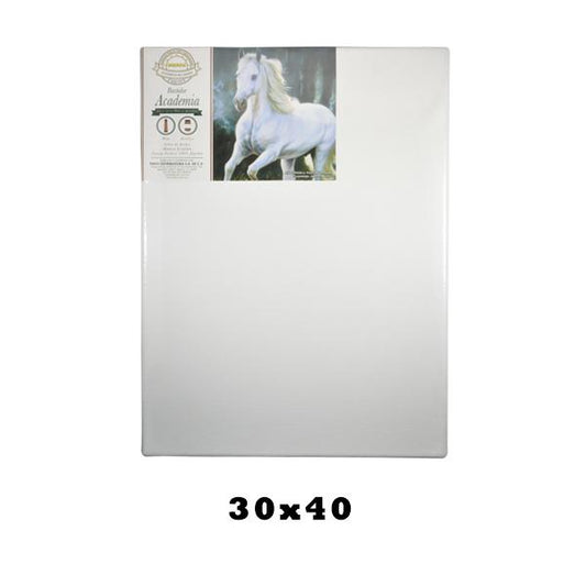BASTIDOR LONETA FREDRIX 30X40 CM PINTO DISTRIBUIDORA