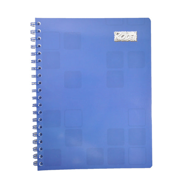 CUADERNO PROFESIONAL DOBLE ARGOLLA ROCA PLUS 100 HJ C5 5508 MAN 8A MNK