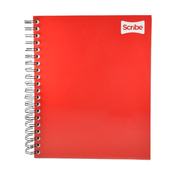 CUADERNO PROFESIONAL DOBLE ARGOLLA CLASICO 200 HJ RAYA SCRIBE MNK