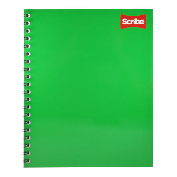 CUADERNO PROFESIONAL DOBLE ARGOLLA CLASICO 200 HJ RAYA SCRIBE MNK