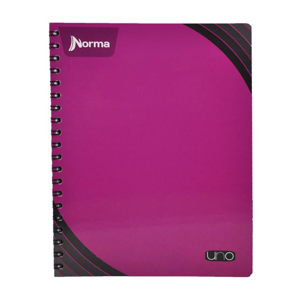 CUADERNO PROFESIONAL DOBLE ARGOLLA UNO 200 HJ RAYA NORMA