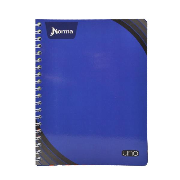 CUADERNO PROFESIONAL DOBLE ARGOLLA UNO 200 HJ RAYA NORMA