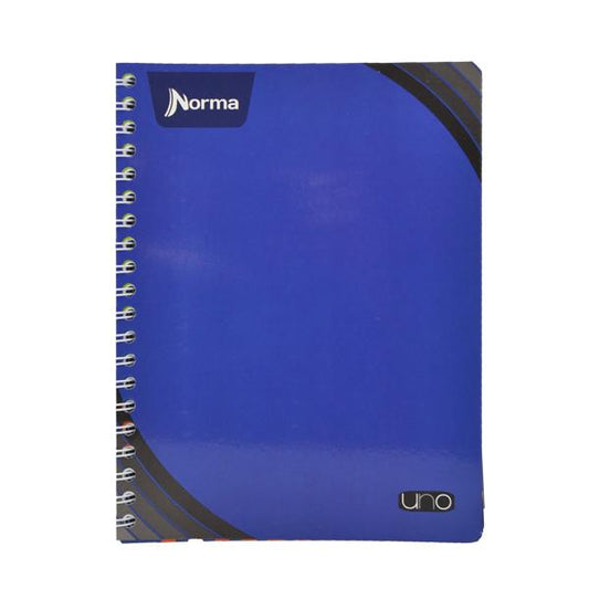 CUADERNO PROFESIONAL DOBLE ARGOLLA UNO 200 HJ RAYA NORMA