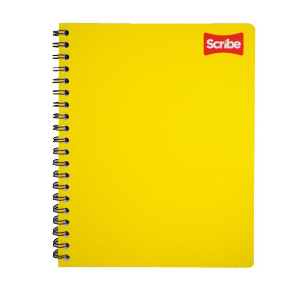 CUADERNO PROFESIONAL DOBLE ARGOLLA CLASICO 100 HJ RAYA 2900 SCRIBE MNK