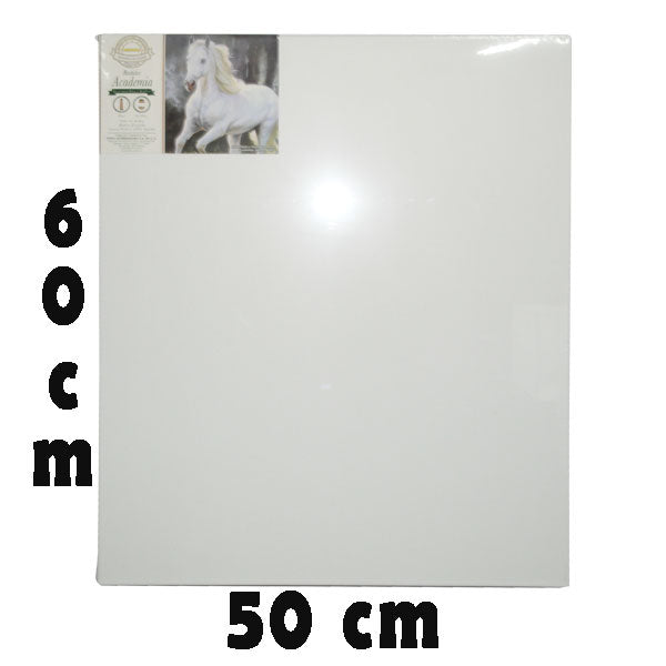 BASTIDOR LONETA FREDRIX 50X60 CM PINTO DISTRIBUIDORA