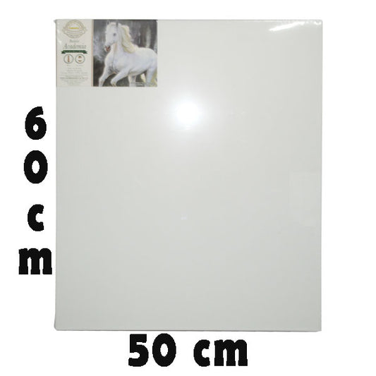 BASTIDOR LONETA FREDRIX 50X60 CM PINTO DISTRIBUIDORA