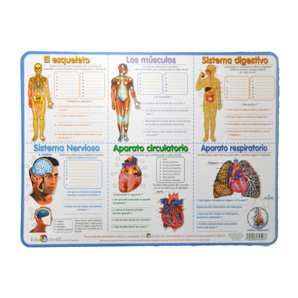 MANTEL INDIVIDUAL SISTEMA CUERPO EDUCACTIVITY