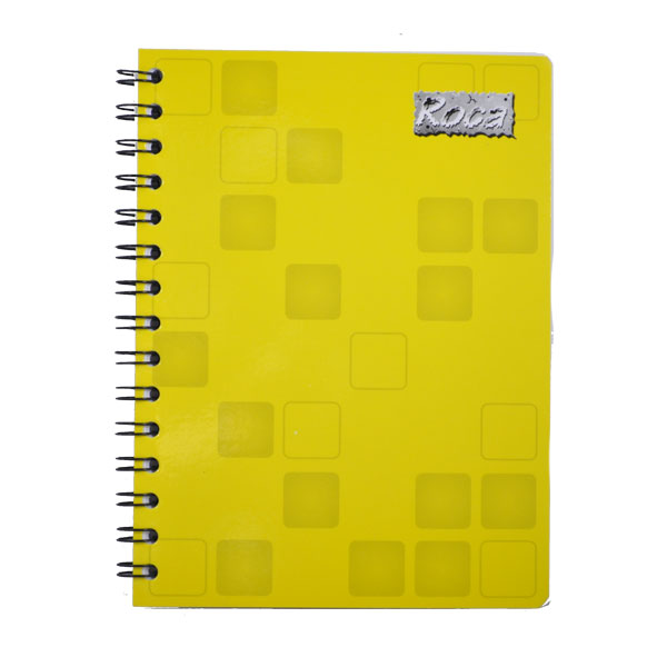 CUADERNO FRANCES DOBLE ARGOLLA 100 HJ DOBLE RAYA 2238 MAN 8A