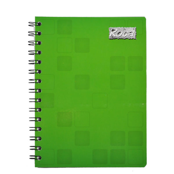 CUADERNO FRANCES DOBLE ARGOLLA 100 HJ DOBLE RAYA 2238 MAN 8A
