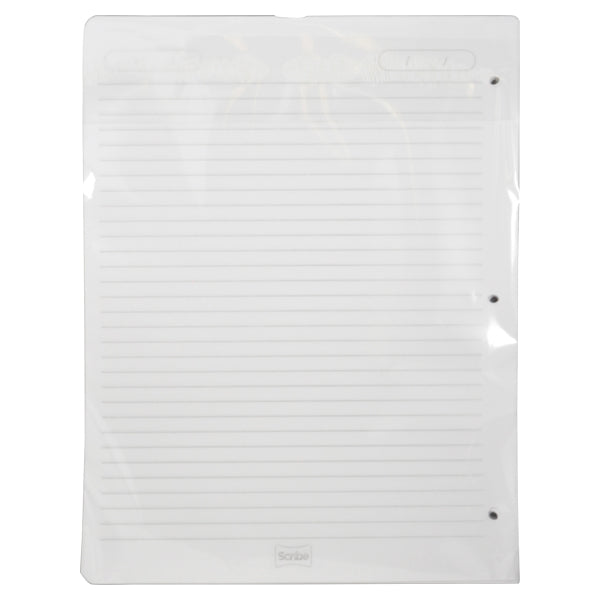 REPUESTO CARPETA CARTA 100 HJ RAYA SCRIBE MNK
