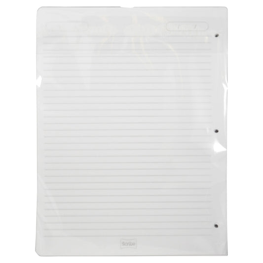 REPUESTO CARPETA CARTA 100 HJ RAYA SCRIBE MNK