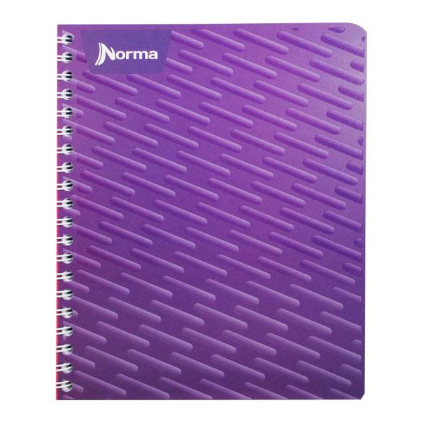 CUADERNO PROFESIONAL DOBLE ARGOLLA 200 HJ NORMA