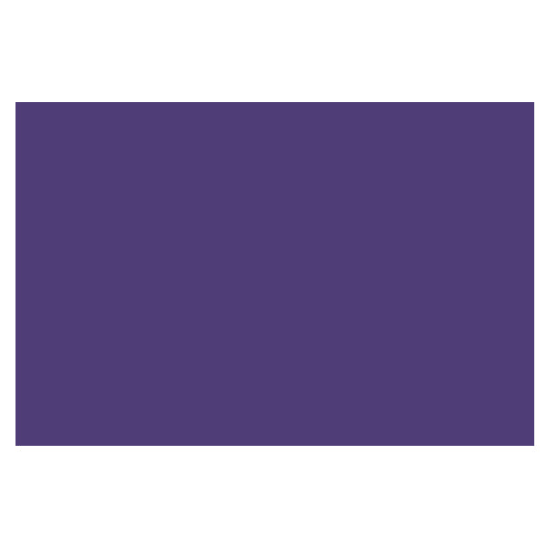 CARTULINA BRISTOL IRIS 50X65 MORADO IMPERIAL MNK