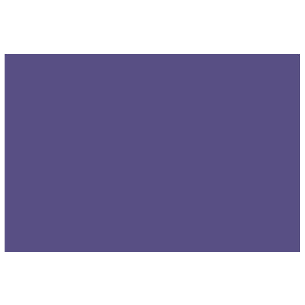 PAPEL LUSTRE 50X70 MORADO JLM MNK